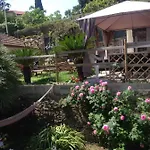 The Sea Flower Con Giardino E Garage Auto Incluso * サンレモ