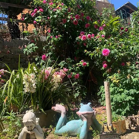 Appartamento The Sea Flower Con Giardino E Garage Auto Incluso Sanremo