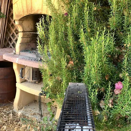 The Sea Flower Con Giardino E Garage Auto Incluso *
