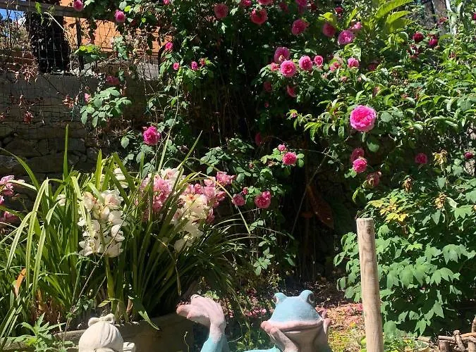 Апартаменты The Sea Flower Con Giardino E Garage Auto Incluso Санремо